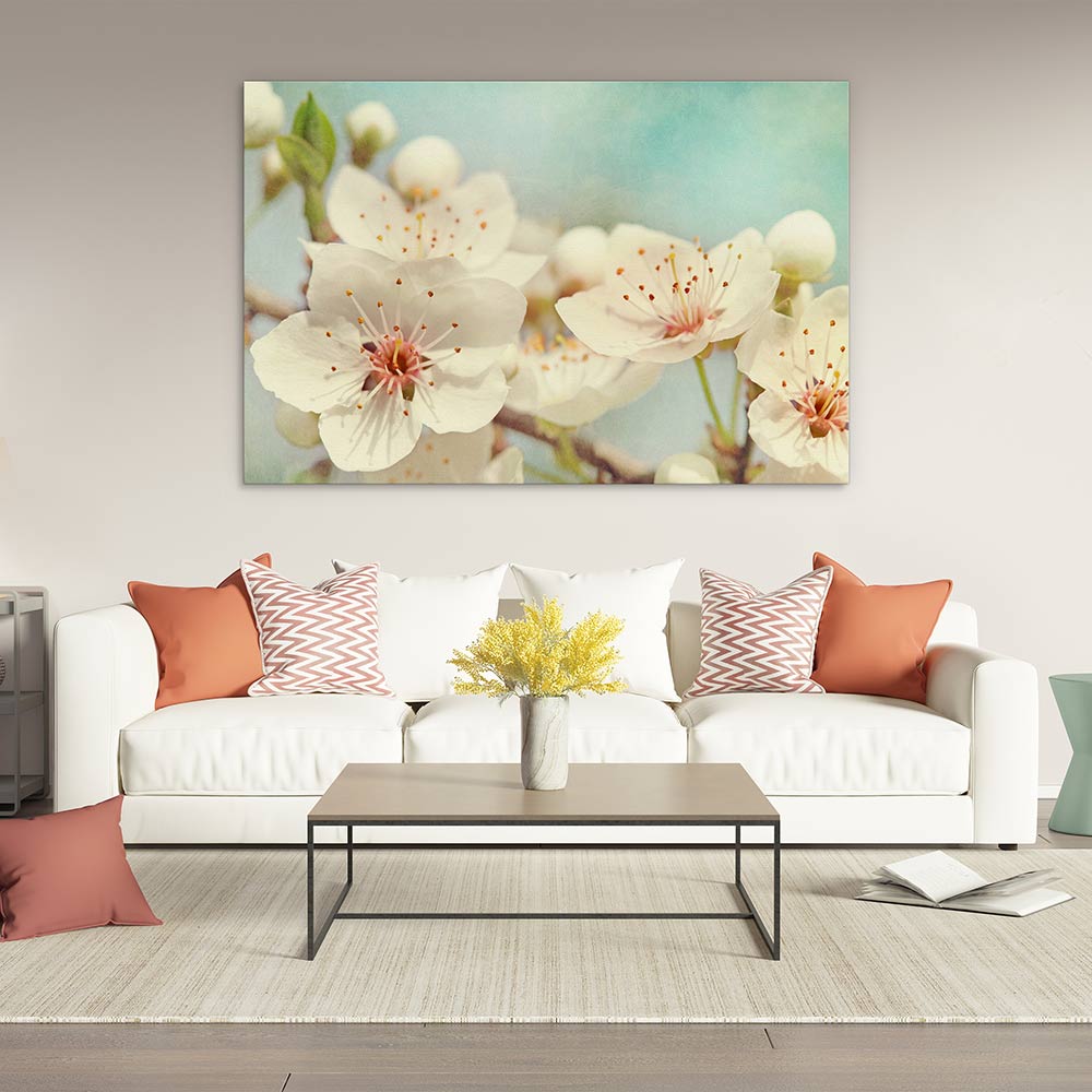 Cherry blossoms