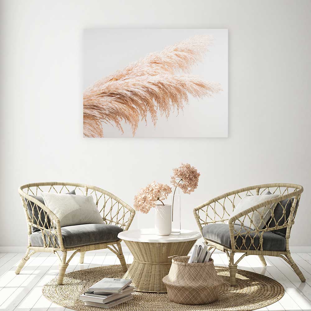 Pampas plumes