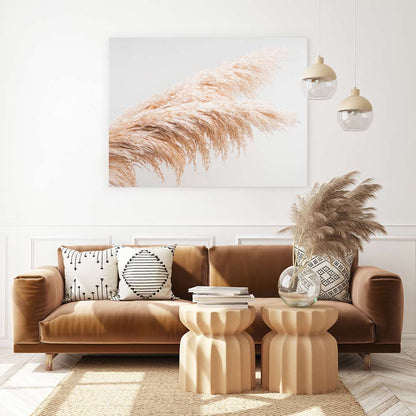 Pampas plumes