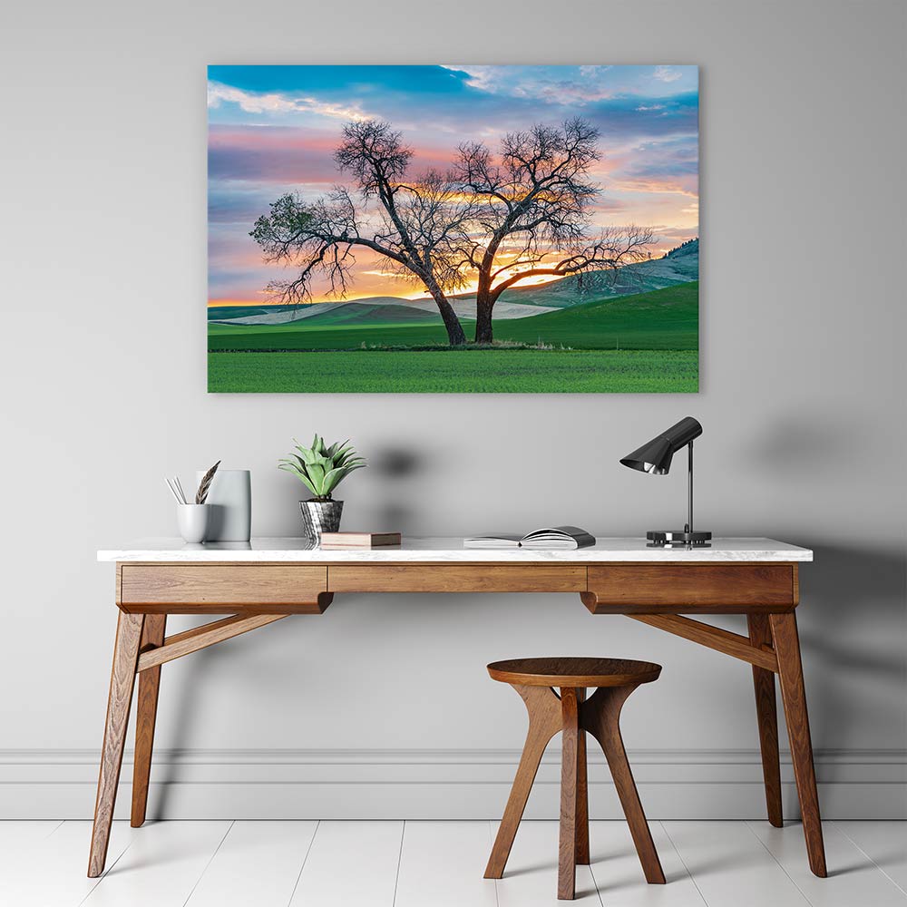 Cottonwood country