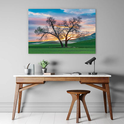 Cottonwood country