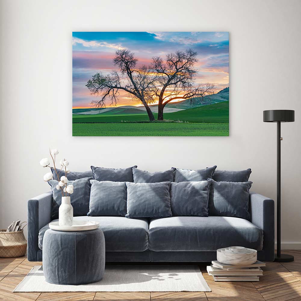 Cottonwood country
