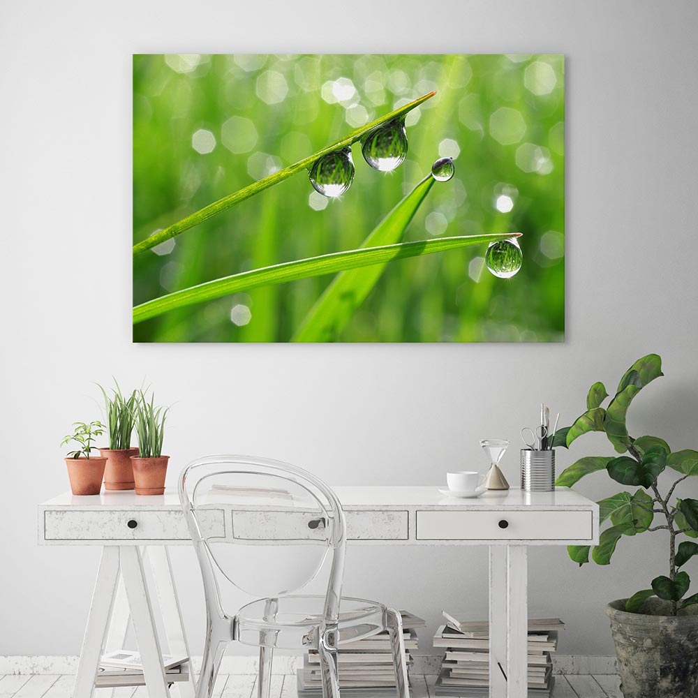Dew drops