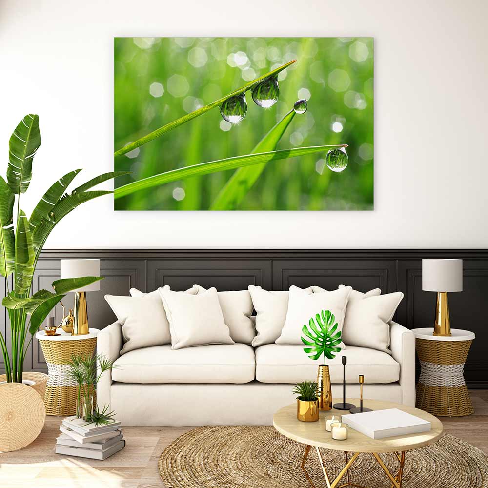 Dew drops