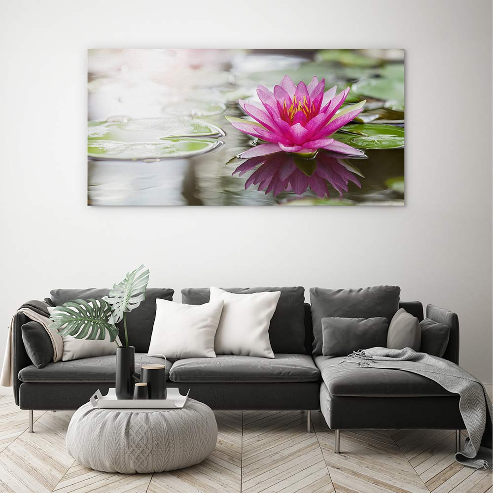 Pink water lily