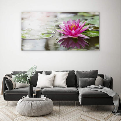 Pink water lily
