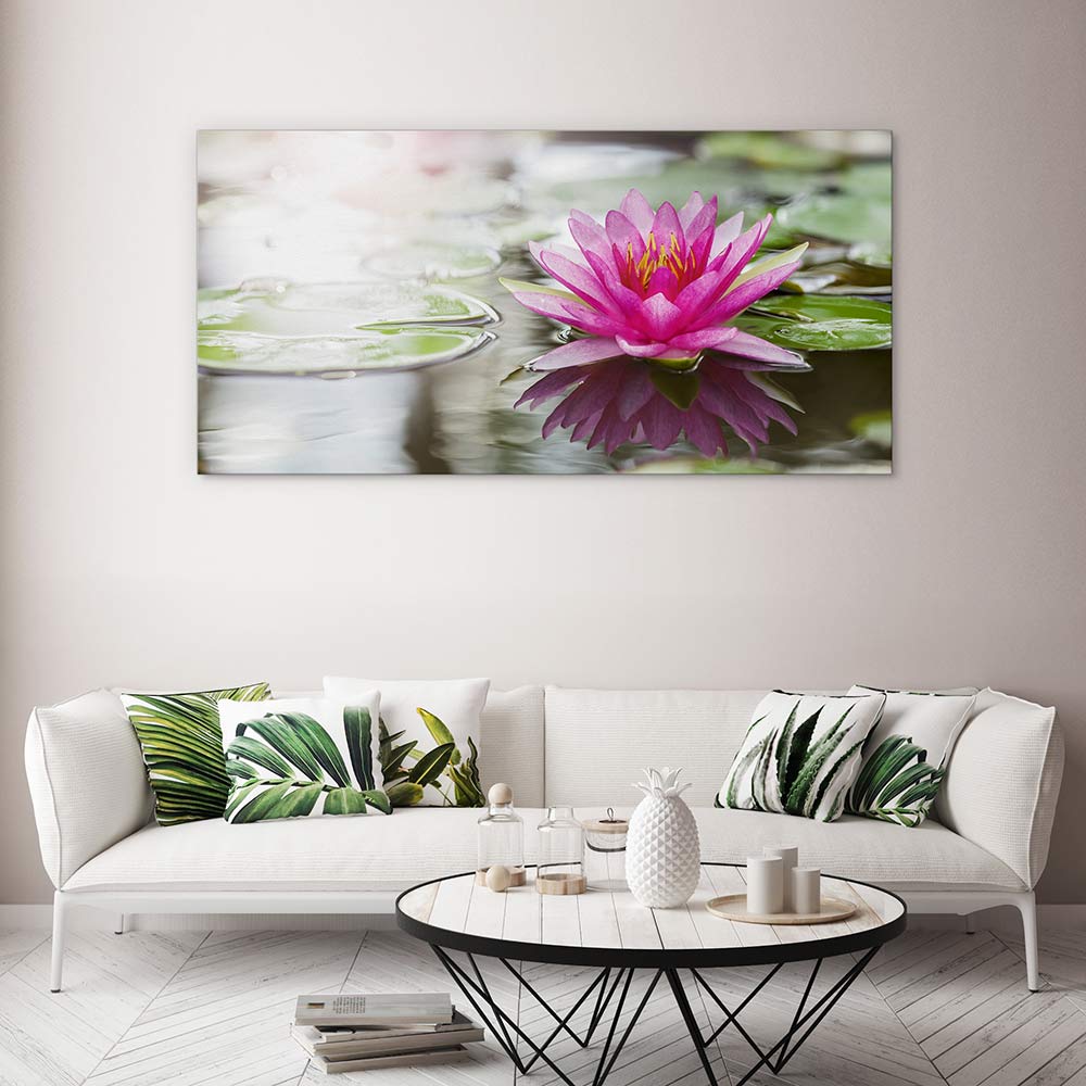 Pink water lily