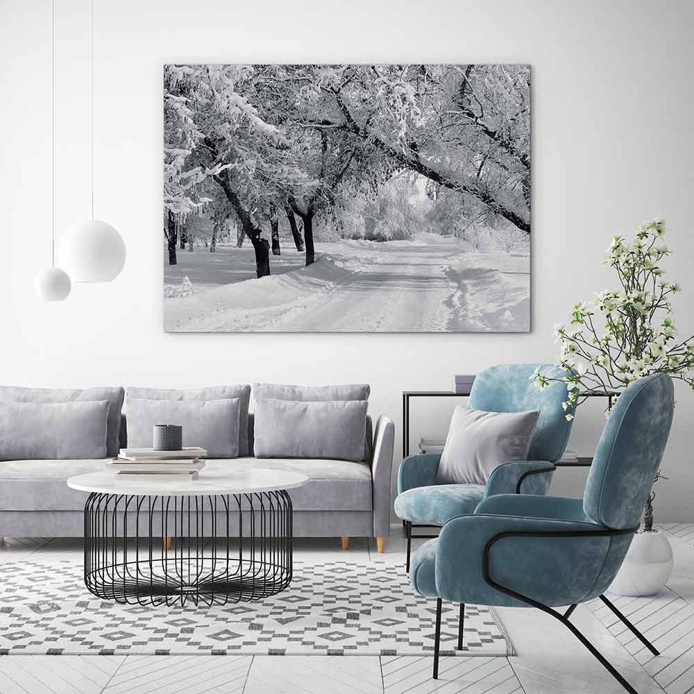 Winter wonderland
