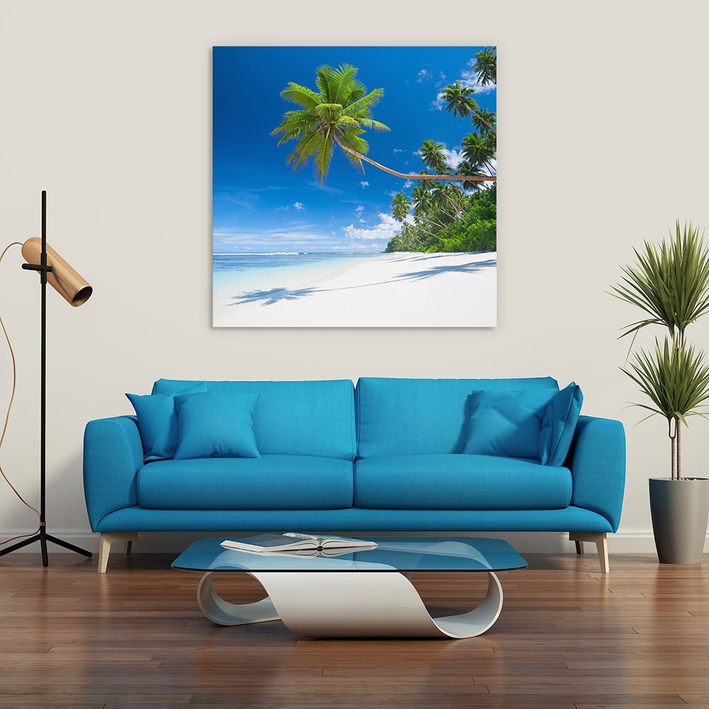 Coconut cove