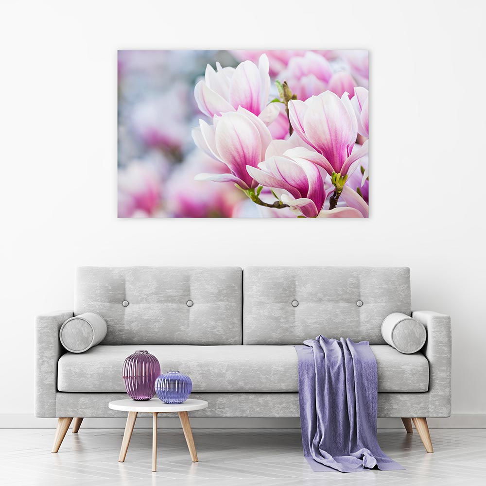 Delicate magnolia