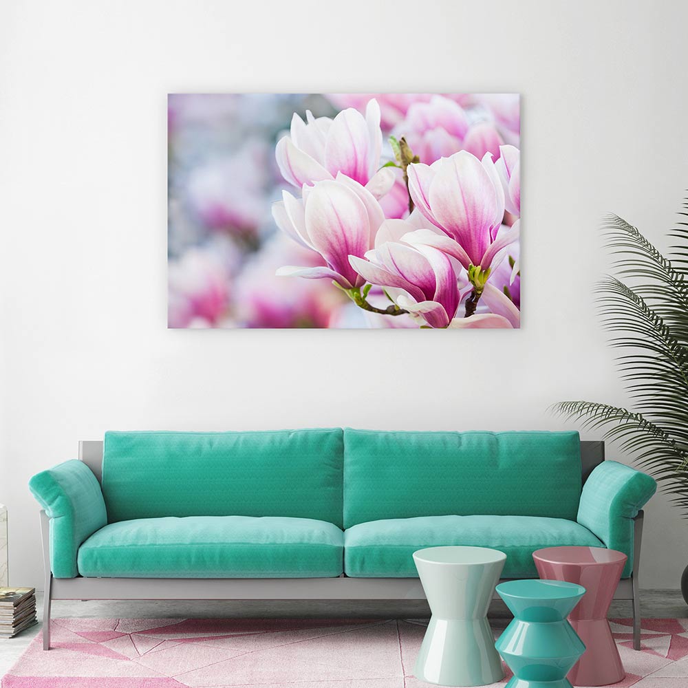 Delicate magnolia
