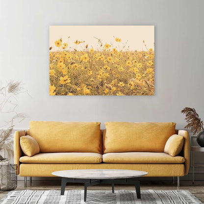 Yellow cosmos meadow
