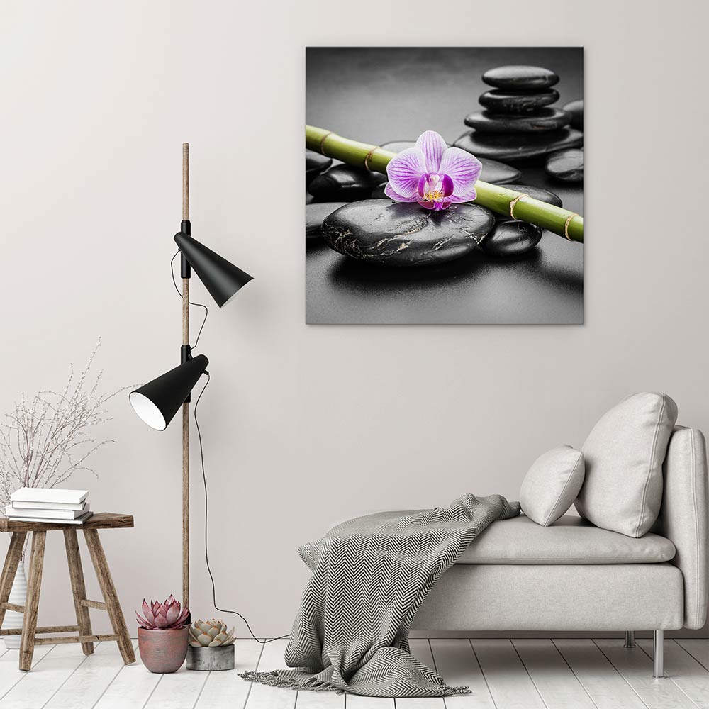 Orchid balance