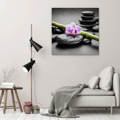Orchid balance