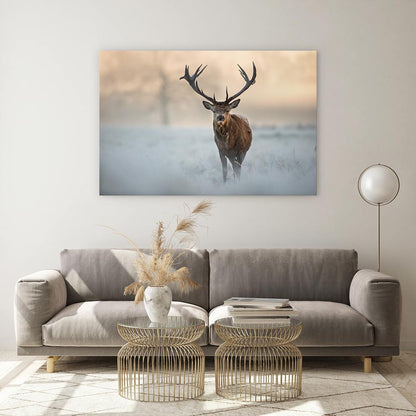 Red deer in winter