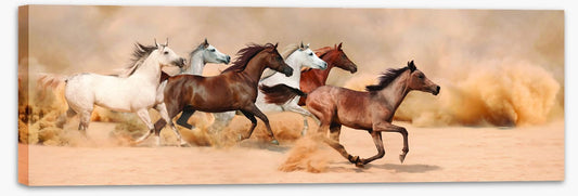 Galloping in the sand