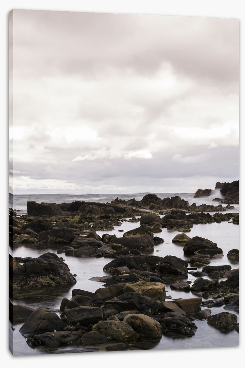Caladenia_Potrait_Canvas_60Wx90H_BedroomWall_PinkRoom