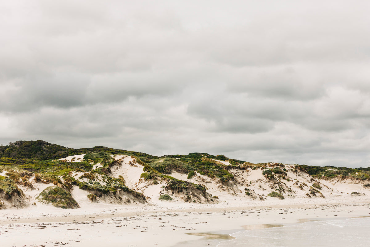 Pimelea_Bedhead_Landscape_Canvas_W90xH60_MasterBr