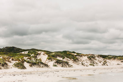Pimelea_Bedhead_Landscape_Canvas_W90xH60_MasterBr