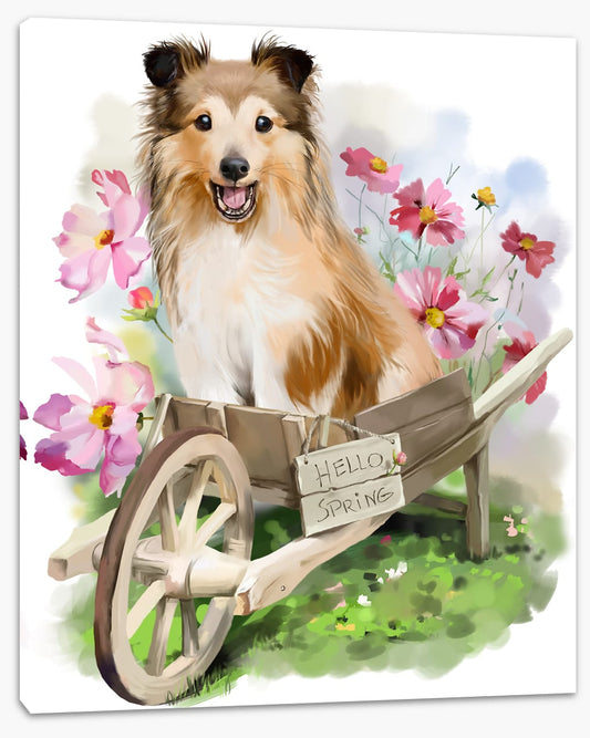 Spring puppy