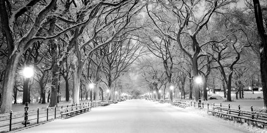 Snowy Central Park panorama