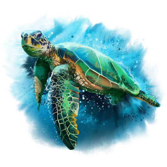 Sea turtle splash (Custom)