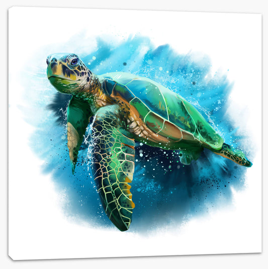 Sea turtle splash (Custom)