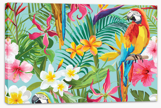 Paradise parrots (Custom)