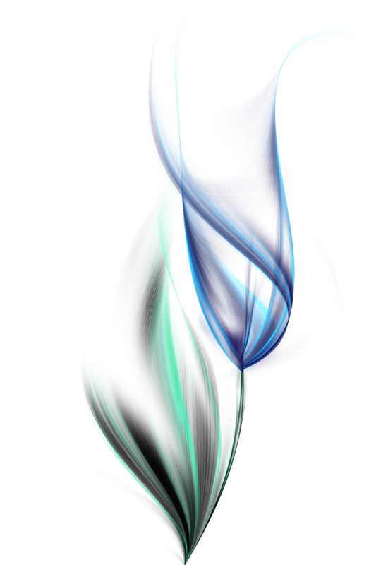 One blue tulip (Custom)