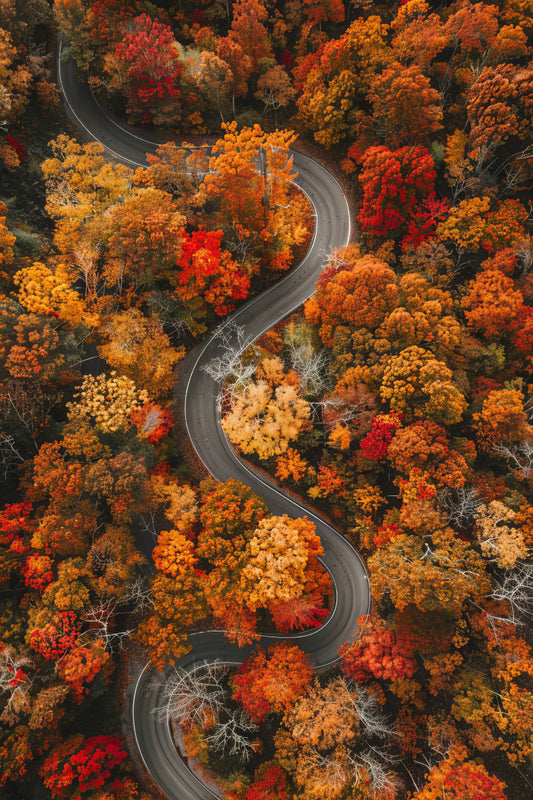 Autumn curves