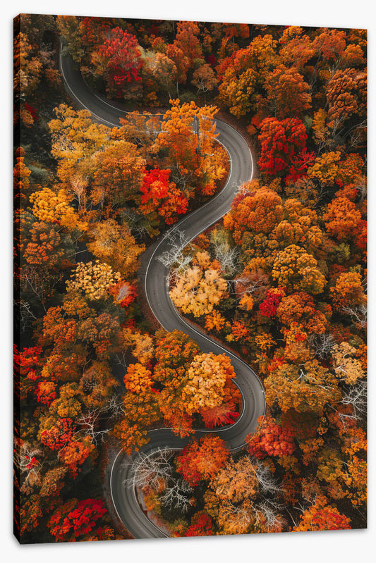 Autumn curves