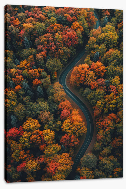 The road to autumn