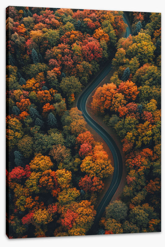 The road to autumn
