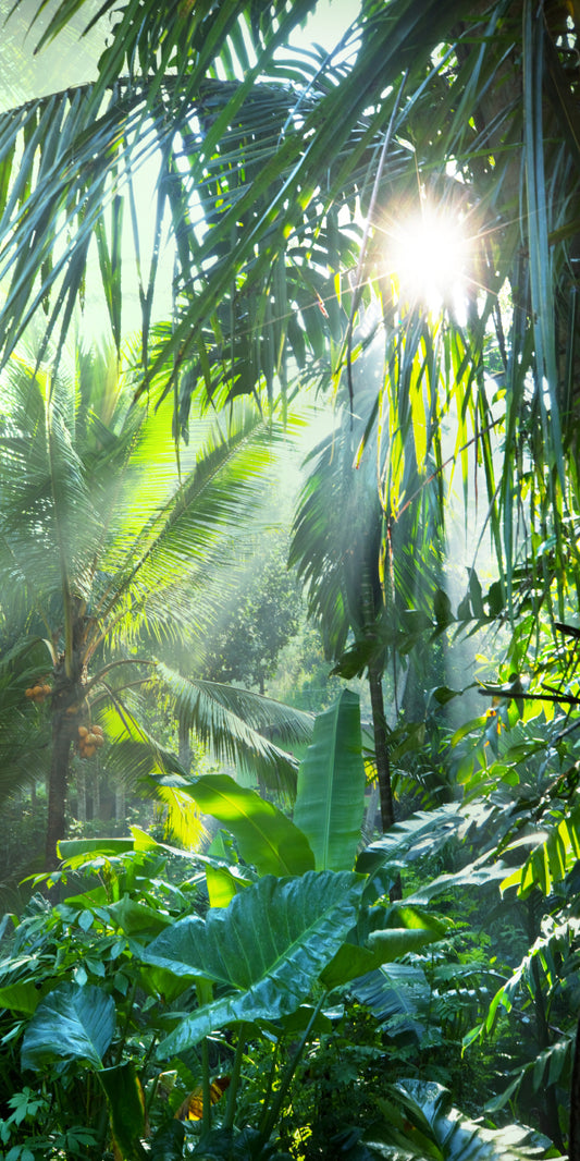 Deep in the jungle (Custom)