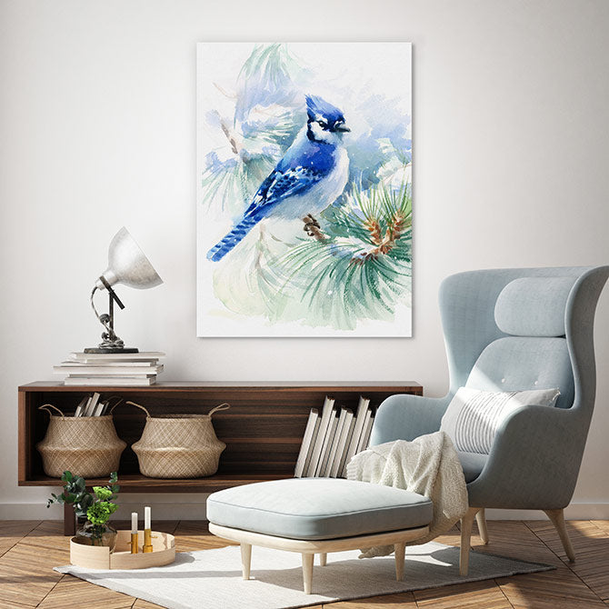 Blue jay snowfall