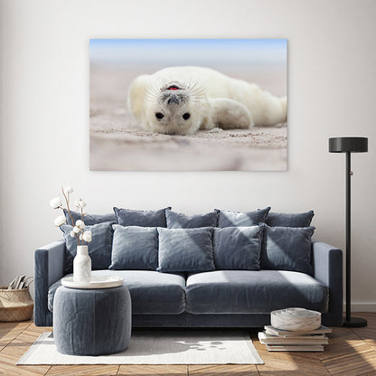 Seal smile