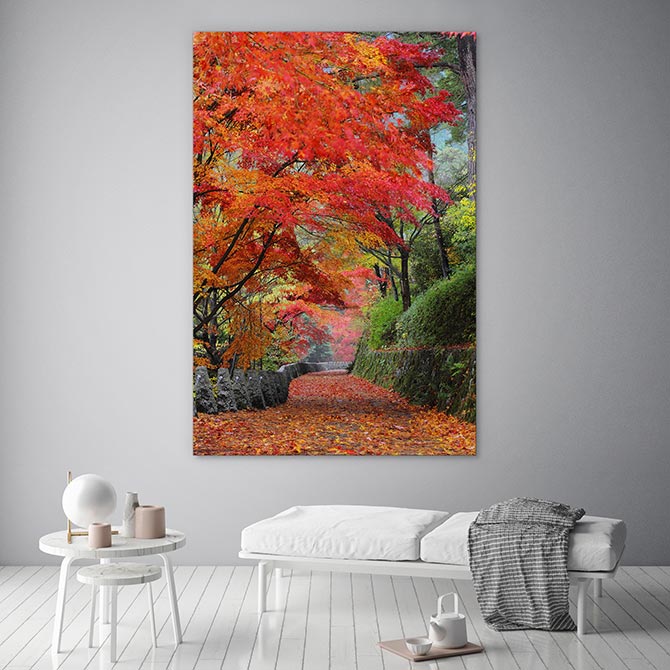 Maple promenade